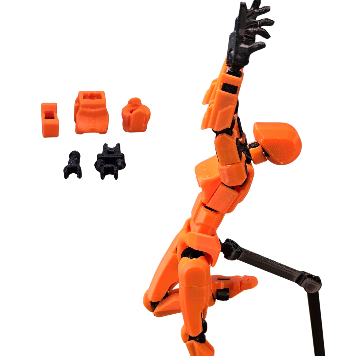 Jouets Articulé Dummy 13 - Torse Féminin 1