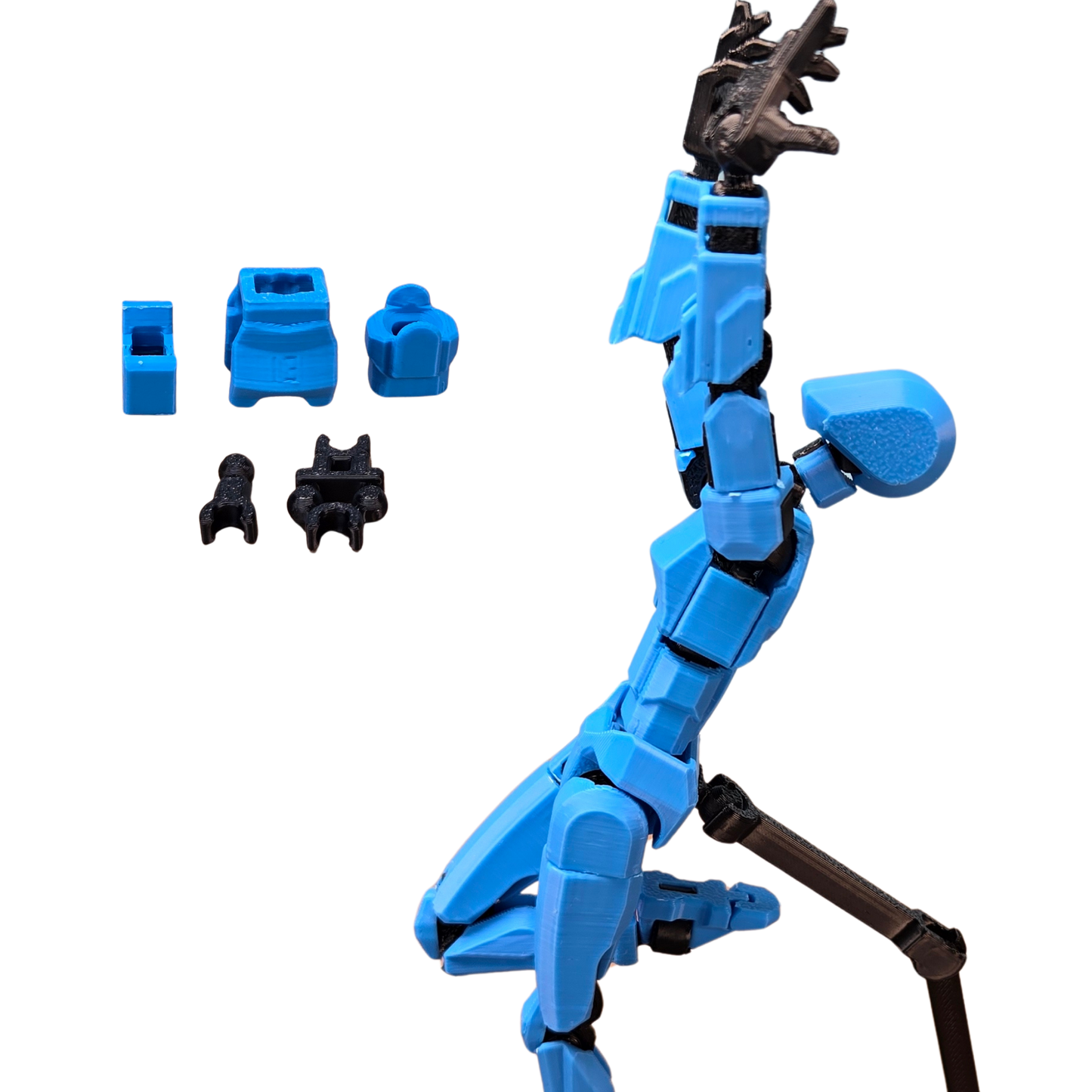 Jouets Articulé Dummy 13 - Torse Féminin 2