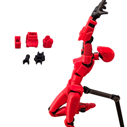 Jouets Articulé Dummy 13 - Torse Féminin 1