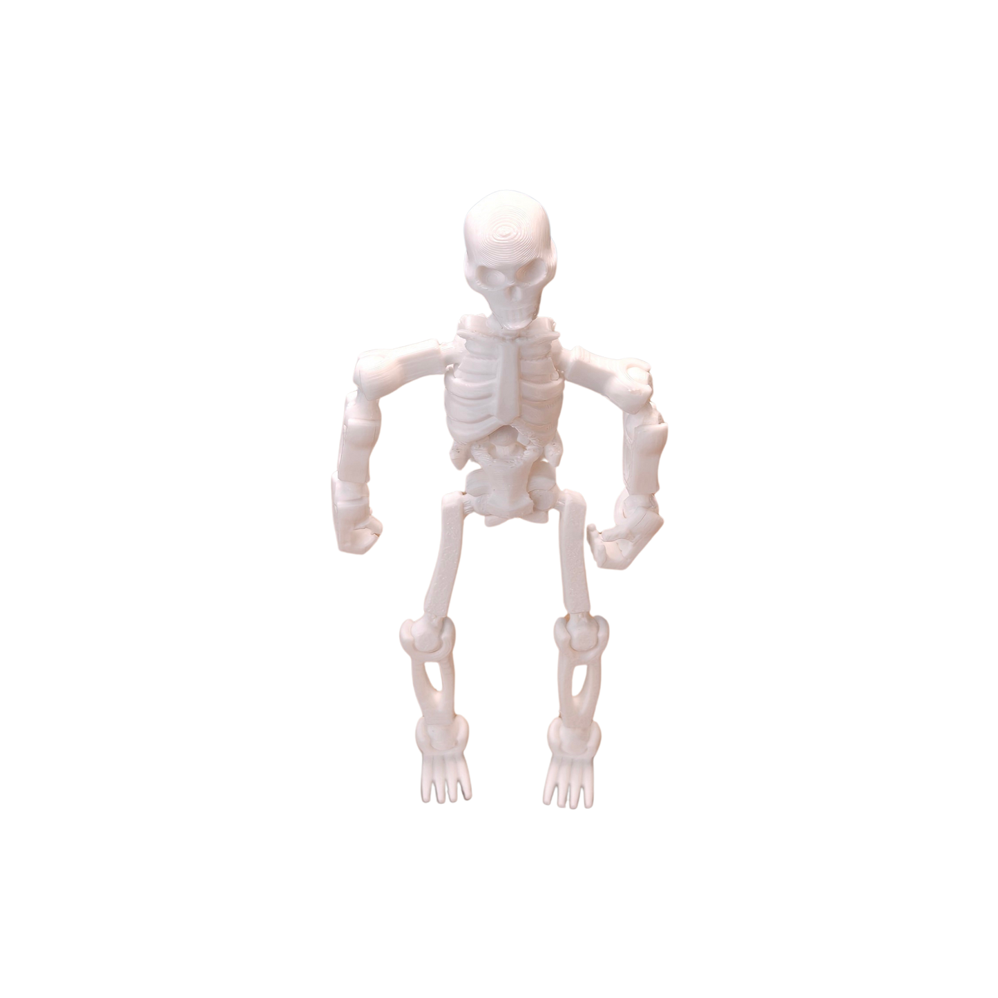 Jouets Articulé Squelette