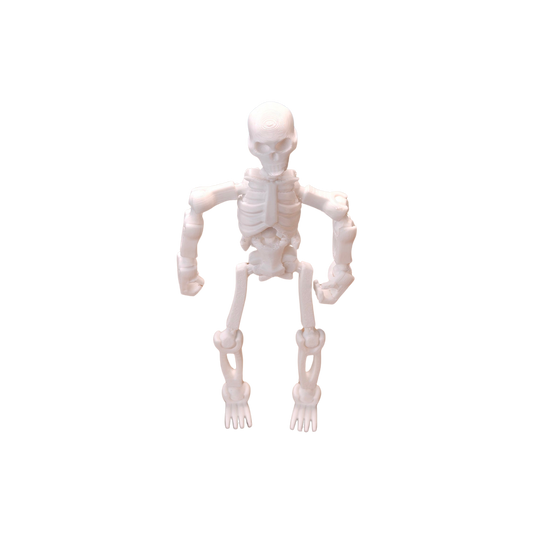 Jouets Articulé Squelette