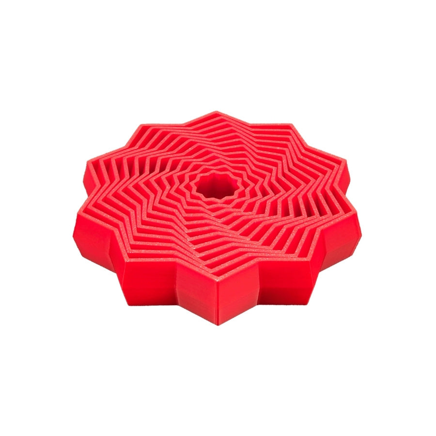 Fidget étoile à 10 pointes